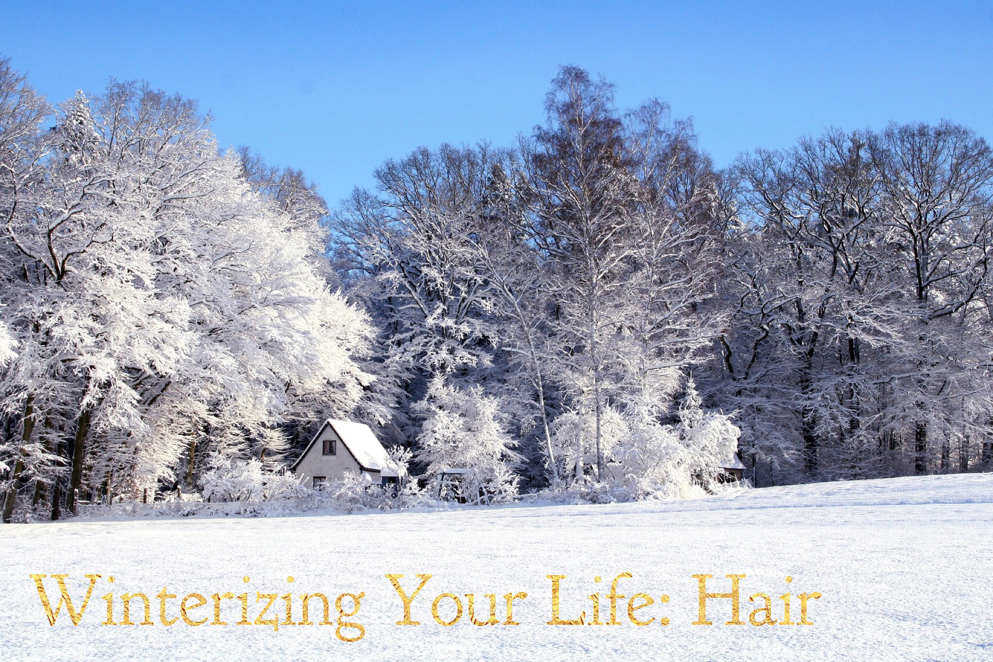 Image of snowy background with Winterizing Your Life Hair in text