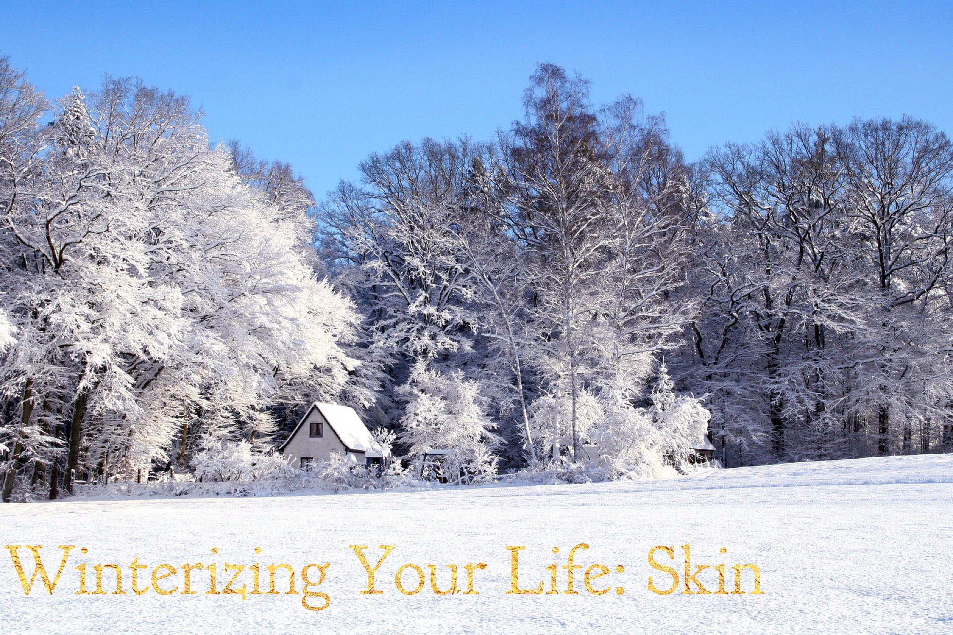 Image with winter background with the text Winterizing Your Life: Skin